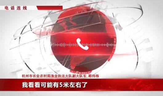 钱塘江水面疑似出现高速不明物：可能超5米z6尊龙网站登录入口江西天降火球未头绪(图2)