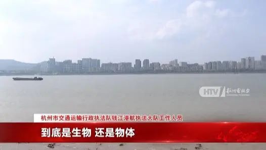 钱塘江水面疑似出现高速不明物：可能超5米z6尊龙网站登录入口江西天降火球未头绪(图9)