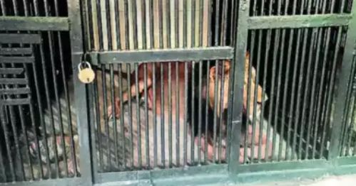 身亡“只为拍一张精彩的照片”！尊龙凯时APP新西兰游客坠落(图2)